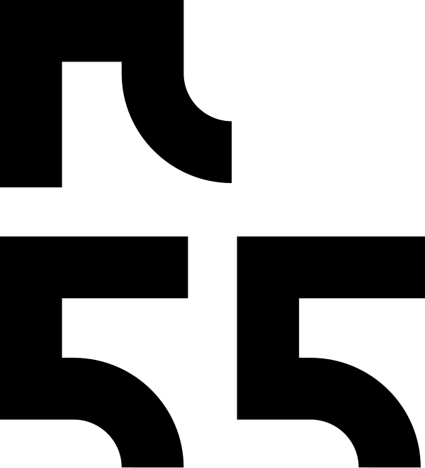 Pi55 logo